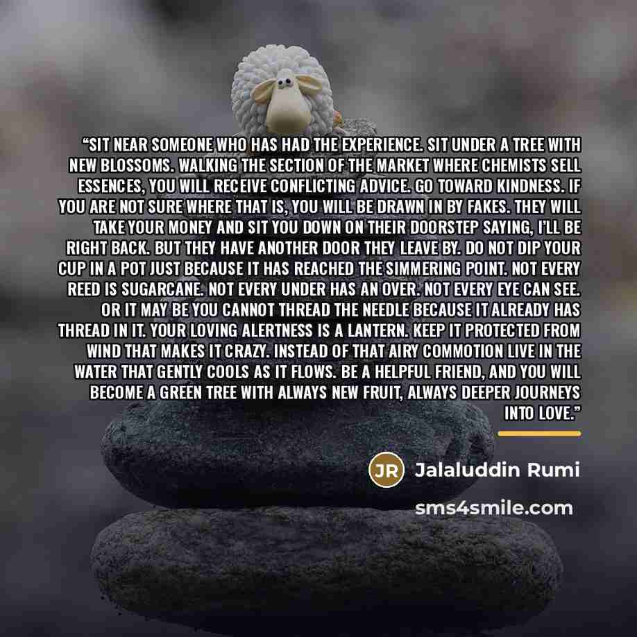 “Sit near someone who has had the experience. Sit under a tree with new blossoms. Walking the section of the market where chemists sell essences, you will receive conflicting advice. Go toward kindness. If you are not sure where that is, you will be drawn in by fakes. They will take your money and…” quote by Jalaluddin Rumi