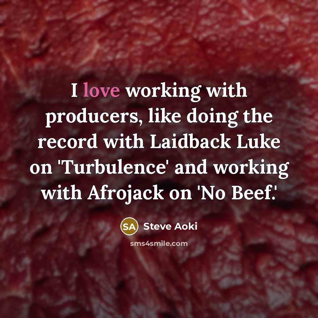 “I love working with producers, like doing the record with Laidback Luke on 'Turbulence' and working with Afrojack on 'No Beef.'” quote by Steve Aoki