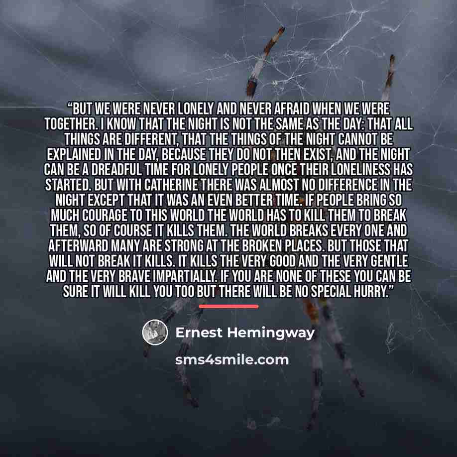 “But we were never lonely and never afraid when we were together. I know that the night is not the same as the day: that all things are different, that the things of the night cannot be explained in the day, because they do not then exist, and the night can be a dreadful time for lonely people once…” quote by Ernest Hemingway