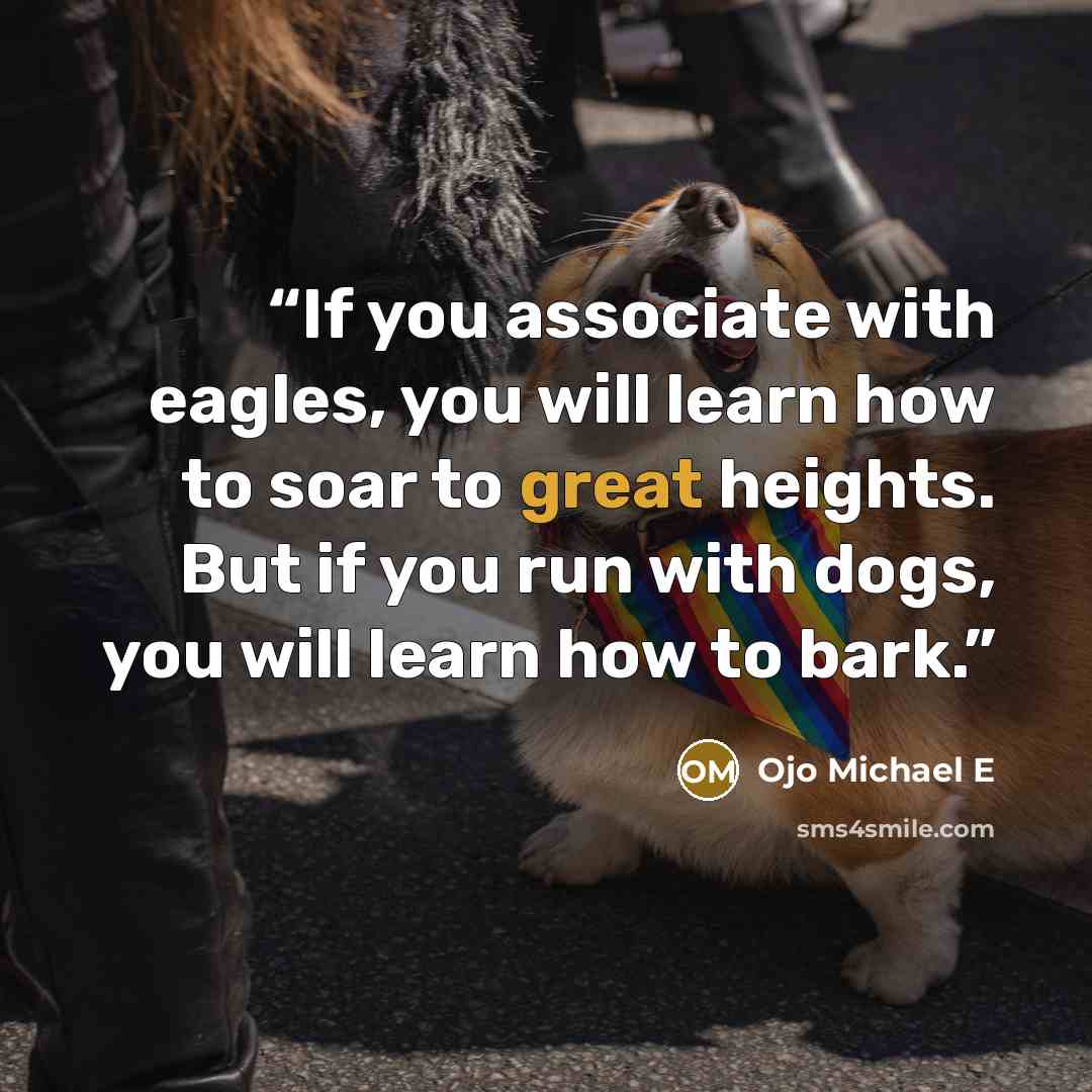“If you associate with eagles, you will learn how to soar to great heights. But if you run with dogs, you will learn how to bark.” quote by Ojo Michael E