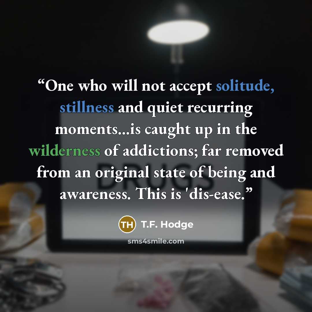 “One who will not accept solitude, stillness and quiet recurring moments...is caught up in the wilderness of addictions; far removed from an original state of being and awareness. This is 'dis-ease.” quote by T.F. Hodge