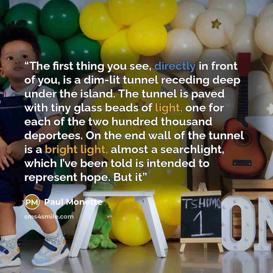 “The first thing you see, directly in front of you, is a dim-lit tunnel receding deep under the island. The tunnel is paved with tiny glass beads of light, one for each of the two hundred thousand deportees. On the end wall of the tunnel is a bright light, almost a searchlight, which I’ve been told…” quote by Paul Monette