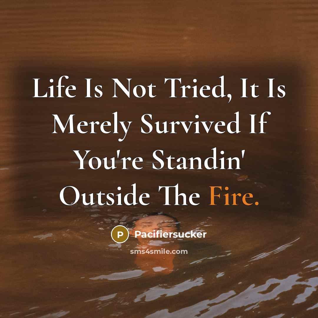 “Life Is Not Tried, It Is Merely Survived If You're Standin' Outside The Fire.” quote by Pacifiersucker