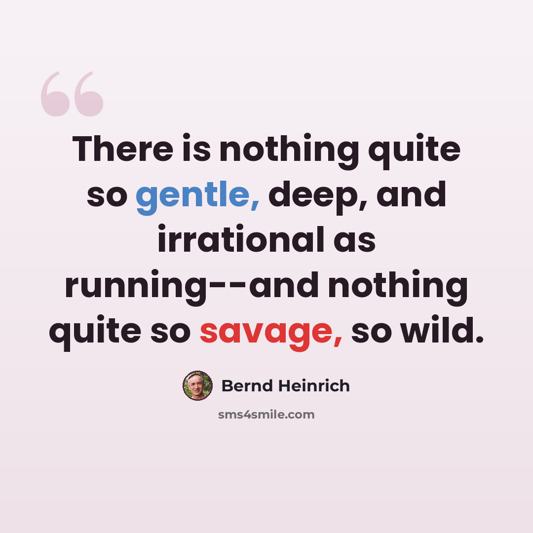 “There is nothing quite so gentle, deep, and irrational as running--and nothing quite so savage, so wild.” quote by Bernd Heinrich