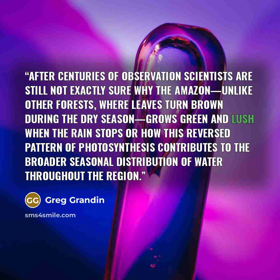 “after centuries of observation scientists are still not exactly sure why the Amazon—unlike other forests, where leaves turn brown during the dry season—grows green and lush when the rain stops or how this reversed pattern of photosynthesis contributes to the broader seasonal distribution of water…” quote by Greg Grandin