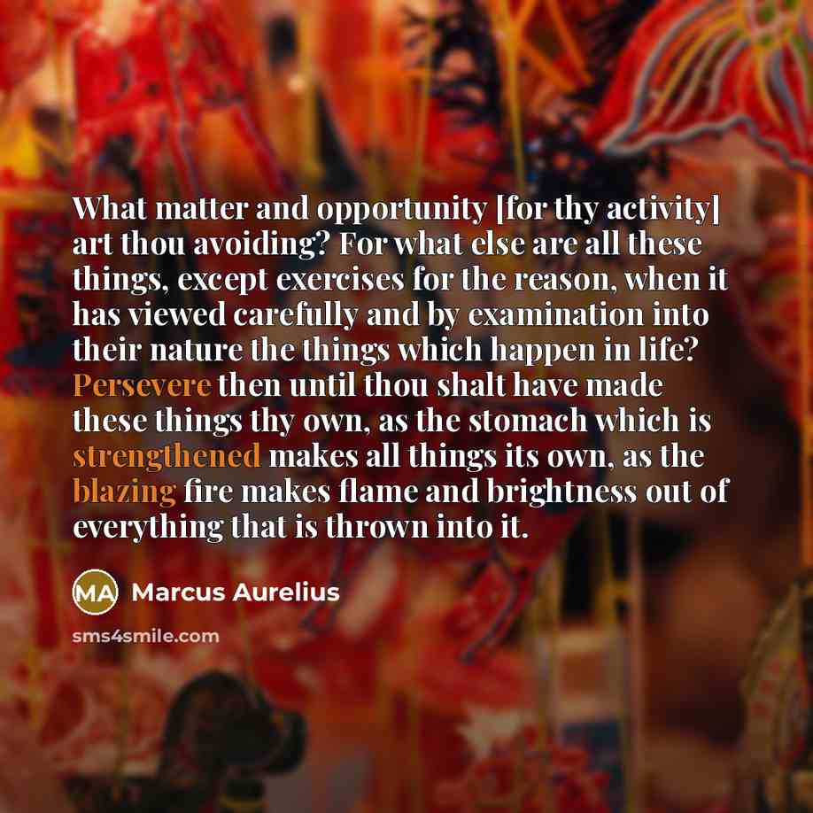 “What matter and opportunity [for thy activity] art thou avoiding? For what else are all these things, except exercises for the reason, when it has viewed carefully and by examination into their nature the things which happen in life? Persevere then until thou shalt have made these things thy own…” quote by Marcus Aurelius