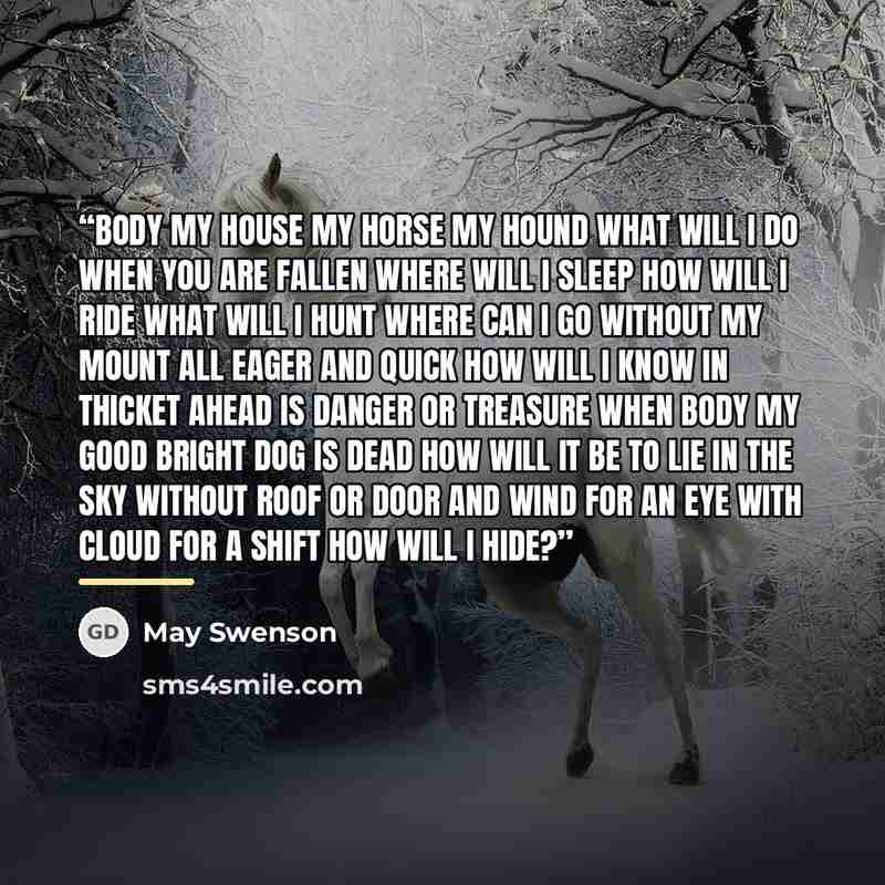 “Body my house my horse my hound What will I do when you are fallen Where will I sleep How will I ride What will I hunt Where can I go without my mount all eager and quick How will I know in thicket ahead is danger or treasure When Body my good bright dog is dead How will it be to lie in the sky…” quote by May Swenson