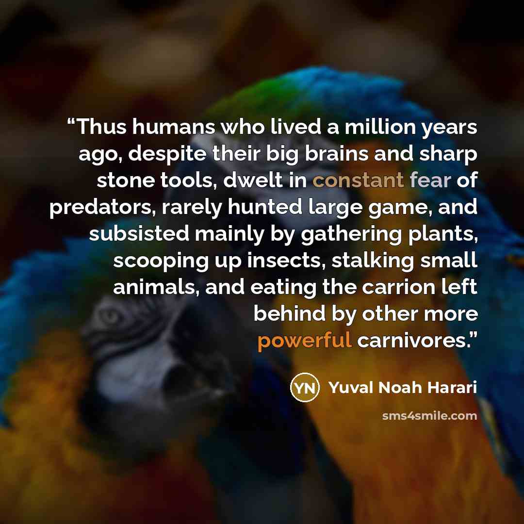 “Thus humans who lived a million years ago, despite their big brains and sharp stone tools, dwelt in constant fear of predators, rarely hunted large game, and subsisted mainly by gathering plants, scooping up insects, stalking small animals, and eating the carrion left behind by other more powerful…” quote by Yuval Noah Harari