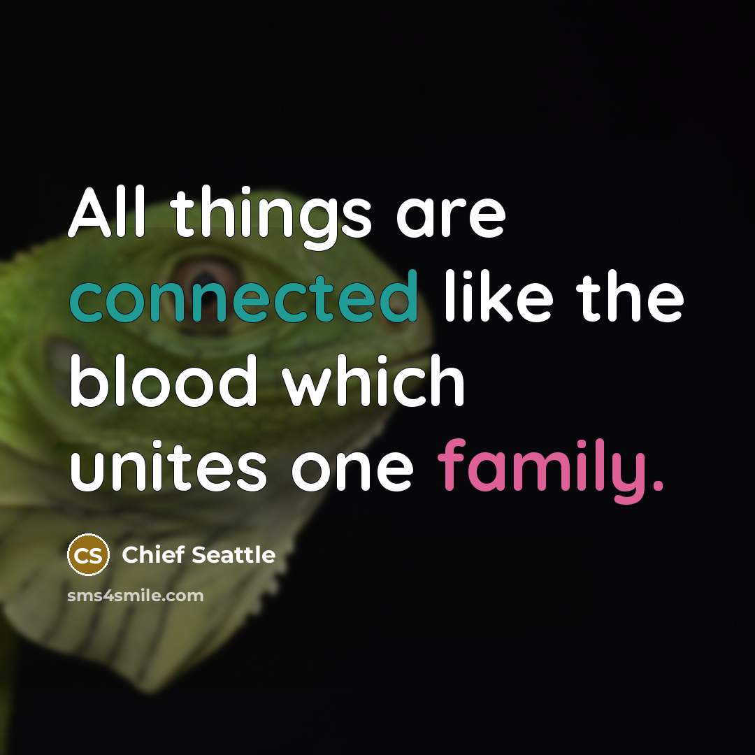 “All things are connected like the blood which unites one family.” quote by Chief Seattle