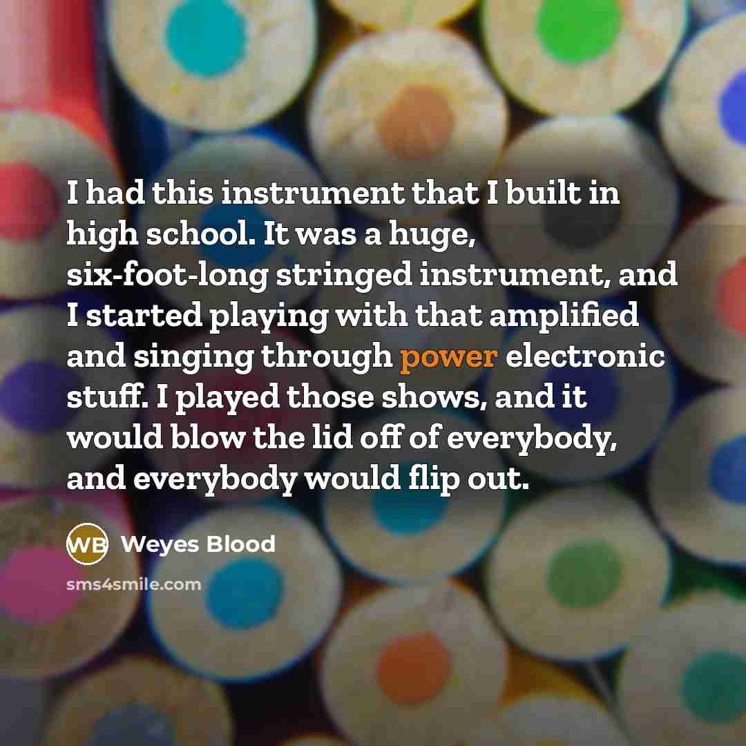 “I had this instrument that I built in high school. It was a huge, six-foot-long stringed instrument, and I started playing with that amplified and singing through power electronic stuff. I played those shows, and it would blow the lid off of everybody, and everybody would flip out.” quote by Weyes Blood