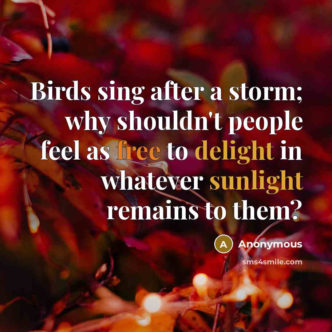 “Birds sing after a storm; why shouldn't people feel as free to delight in whatever sunlight remains to them?” quote by Anonymous