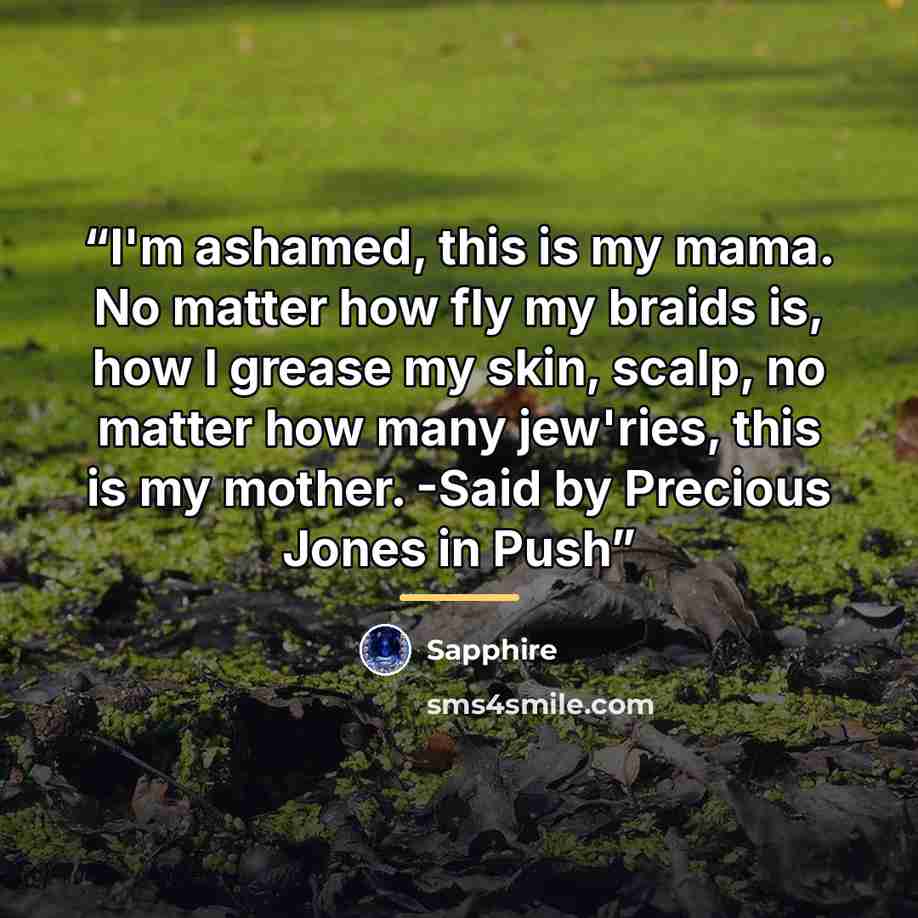 “I'm ashamed, this is my mama. No matter how fly my braids is, how I grease my skin, scalp, no matter how many jew'ries, this is my mother. -Said by Precious Jones in Push” quote by Sapphire
