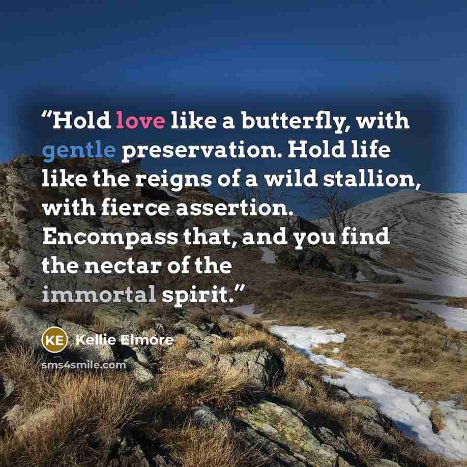 “Hold love like a butterfly, with gentle preservation. Hold life like the reigns of a wild stallion, with fierce assertion. Encompass that, and you find the nectar of the immortal spirit.” quote by Kellie Elmore