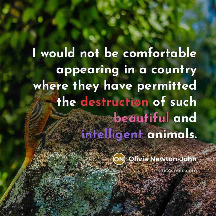 “I would not be comfortable appearing in a country where they have permitted the destruction of such beautiful and intelligent animals.” quote by Olivia Newton-John