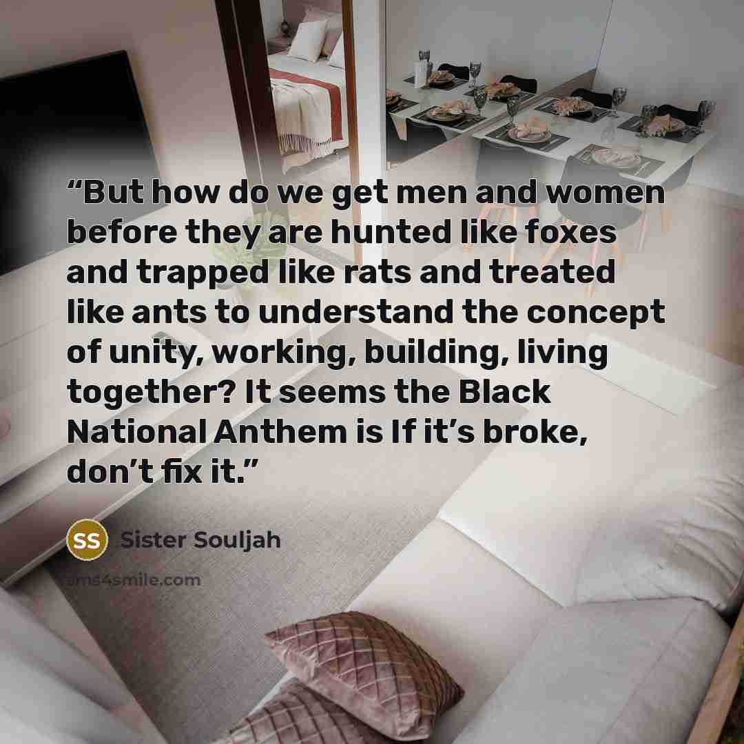 “But how do we get men and women before they are hunted like foxes and trapped like rats and treated like ants to understand the concept of unity, working, building, living together? It seems the Black National Anthem is If it’s broke, don’t fix it.” quote by Sister Souljah