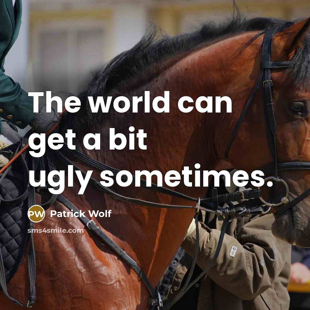“The world can get a bit ugly sometimes.” quote by Patrick Wolf