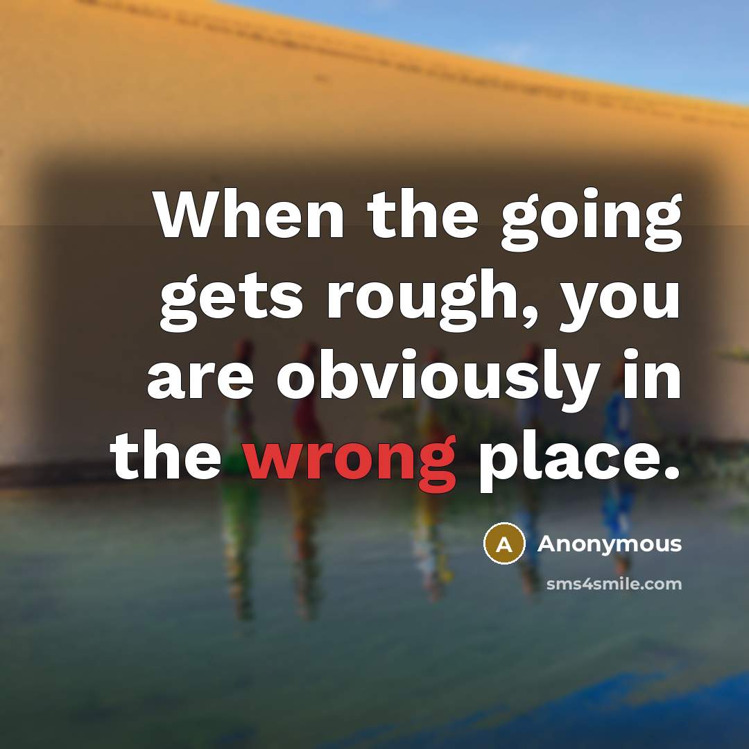 “When the going gets rough, you are obviously in the wrong place.” quote by Anonymous