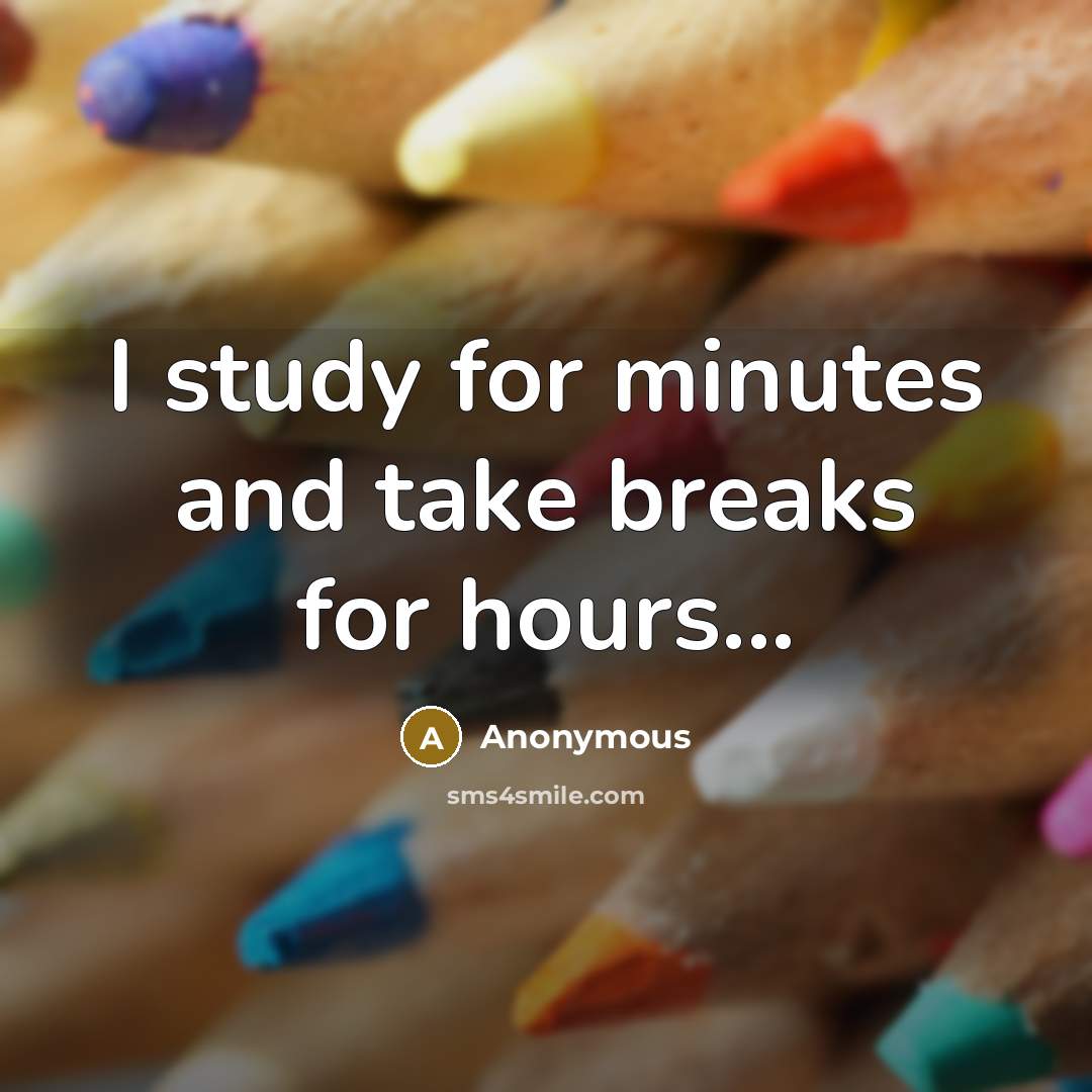 “I study for minutes and take breaks for hours...” quote by Anonymous