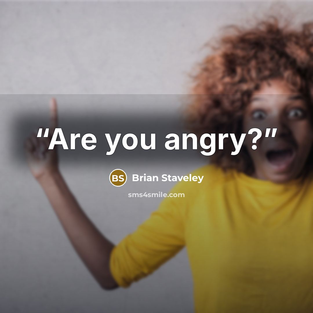 “Are you angry?” quote by Brian Staveley