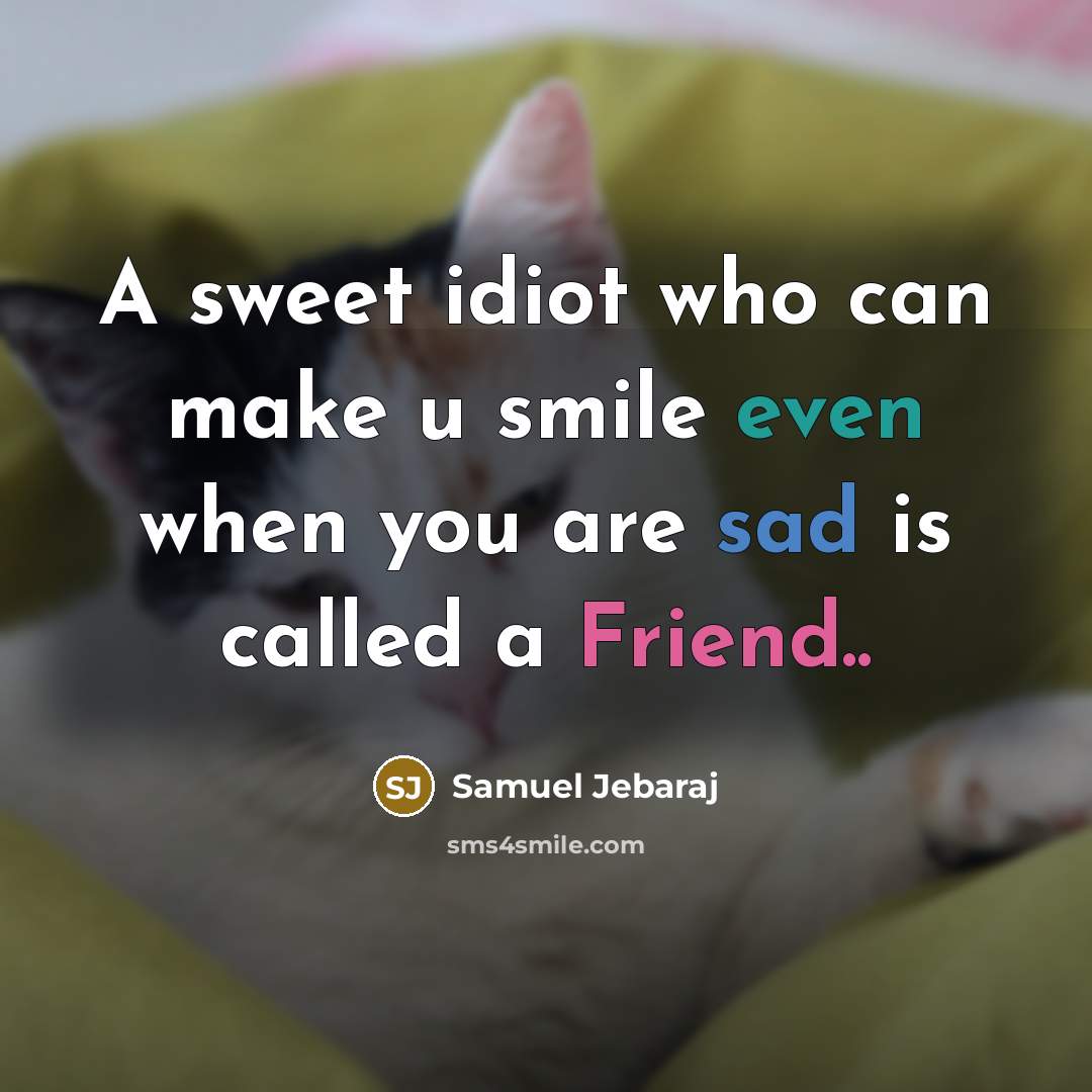 “A sweet idiot who can make u smile even when you are sad is called a Friend..” quote by Samuel Jebaraj