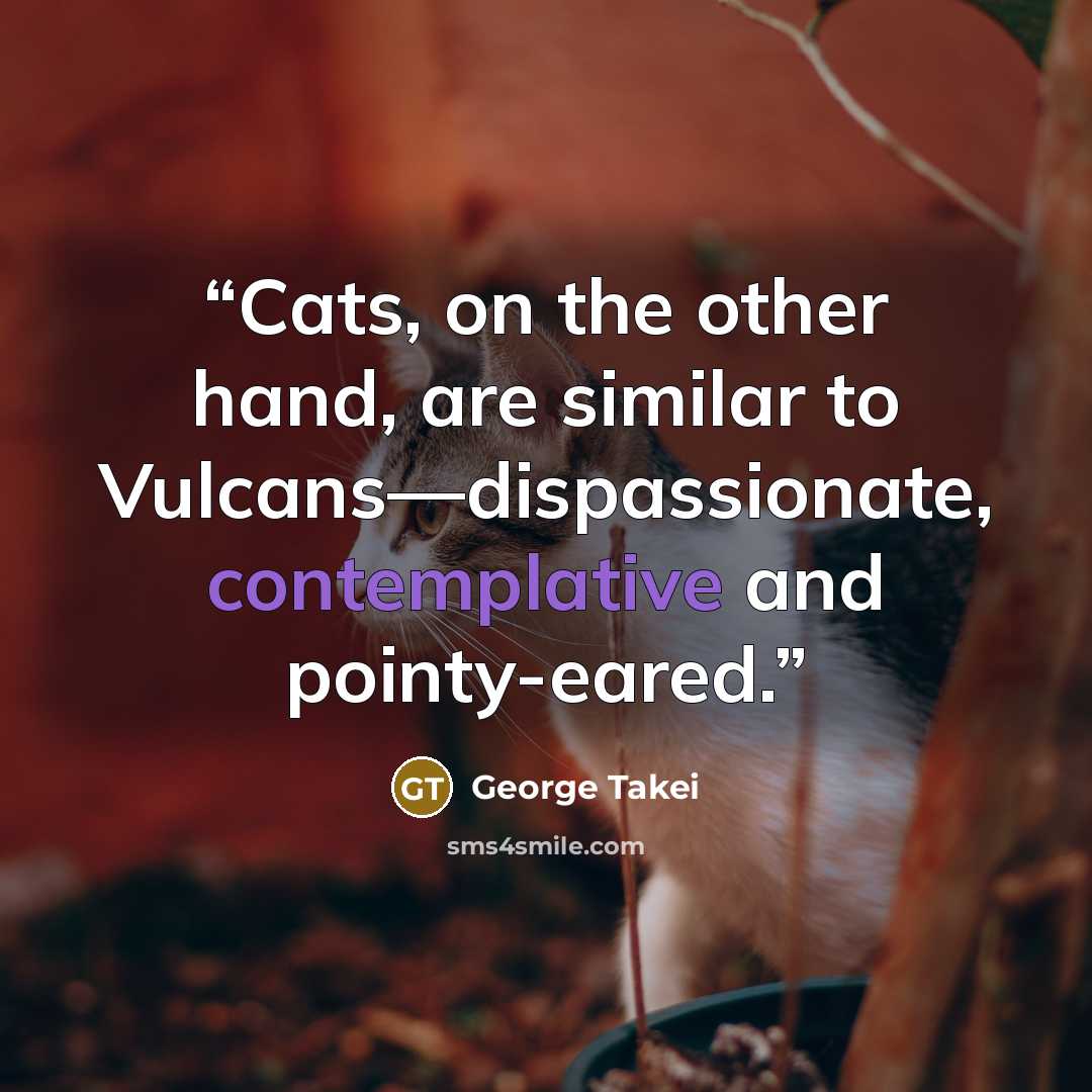 “Cats, on the other hand, are similar to Vulcans—dispassionate, contemplative and pointy-eared.” quote by George Takei