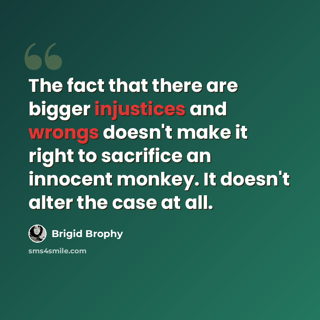 “The fact that there are bigger injustices and wrongs doesn't make it right to sacrifice an innocent monkey. It doesn't alter the case at all.” quote by Brigid Brophy