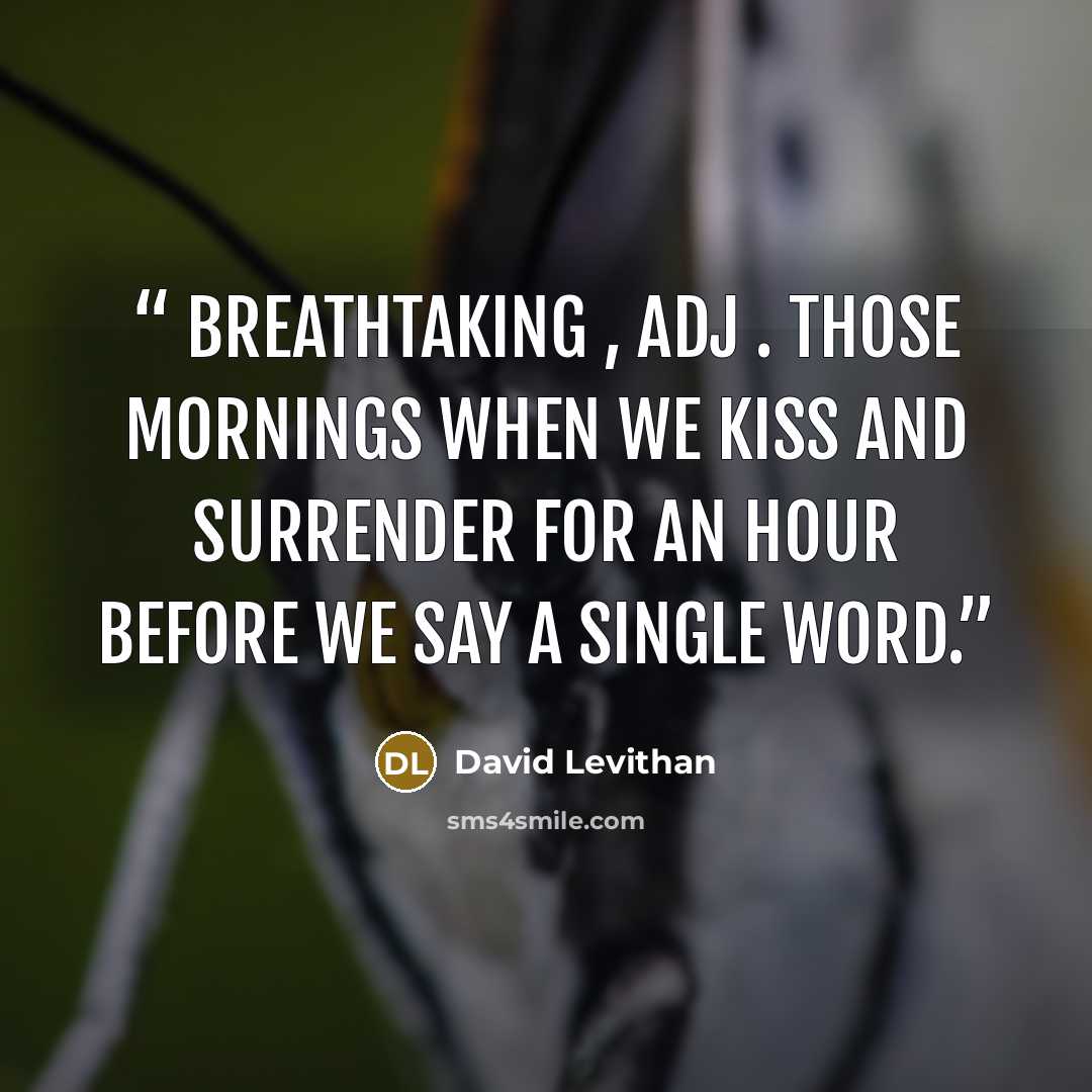 “breathtaking , adj . Those mornings when we kiss and surrender for an hour before we say a single word.” quote by David Levithan