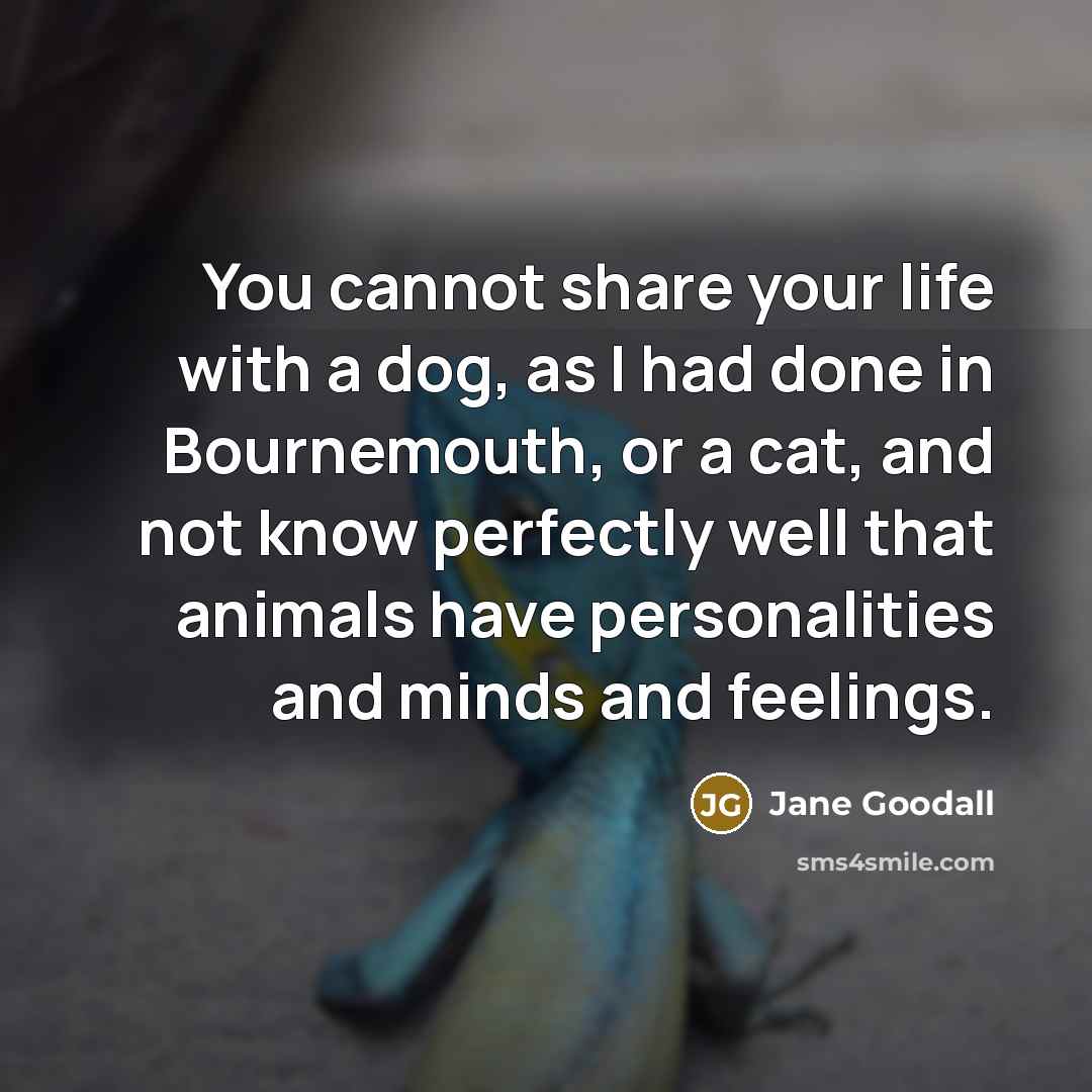 “You cannot share your life with a dog, as I had done in Bournemouth, or a cat, and not know perfectly well that animals have personalities and minds and feelings.” quote by Jane Goodall