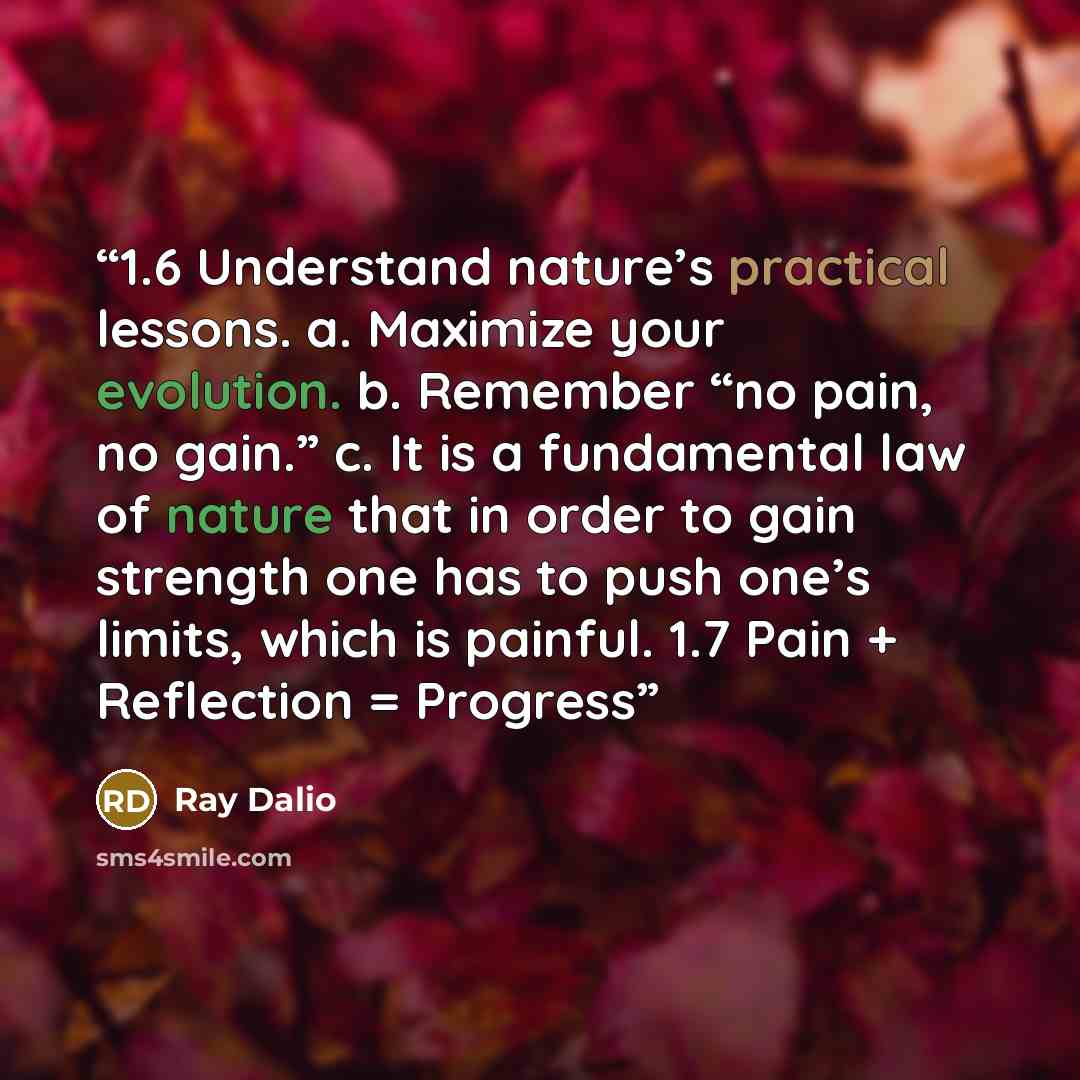 “1.6 Understand nature’s practical lessons. a. Maximize your evolution. b. Remember “no pain, no gain.” c. It is a fundamental law of nature that in order to gain strength one has to push one’s limits, which is painful. 1.7 Pain + Reflection = Progress” quote by Ray Dalio