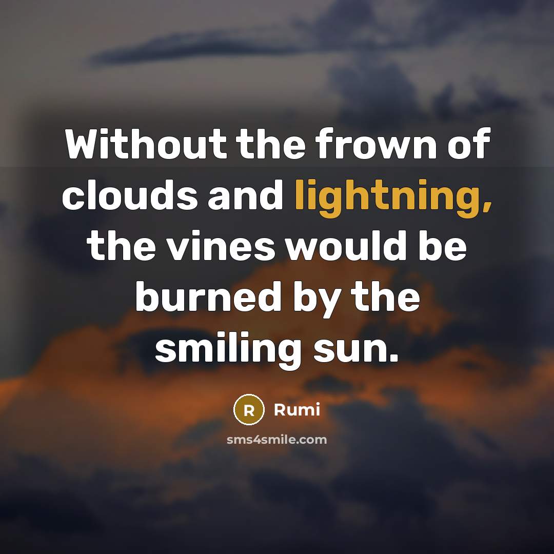 “Without the frown of clouds and lightning, the vines would be burned by the smiling sun.” quote by Rumi