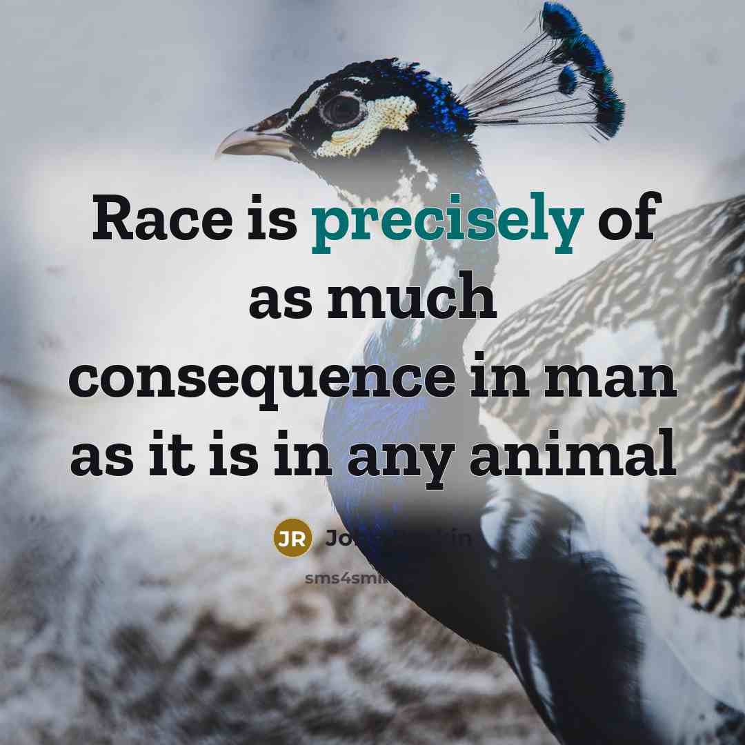 “Race is precisely of as much consequence in man as it is in any animal” quote by John Ruskin