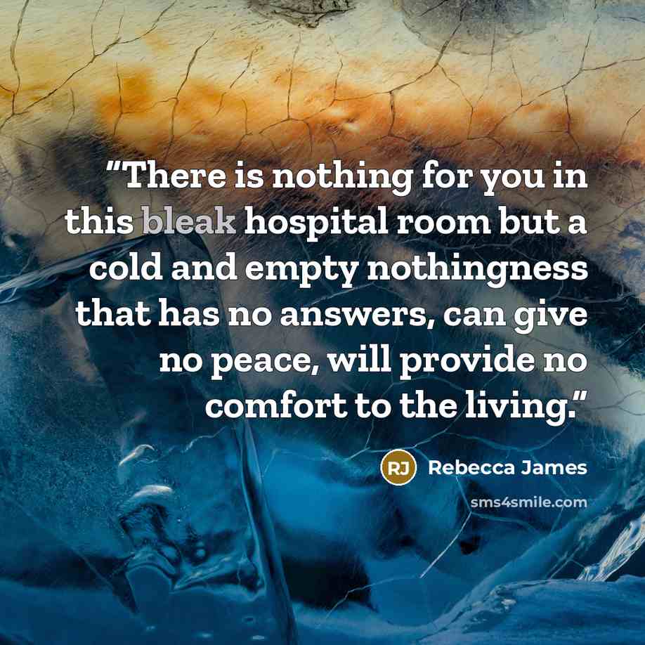 “There is nothing for you in this bleak hospital room but a cold and empty nothingness that has no answers, can give no peace, will provide no comfort to the living.” quote by Rebecca James