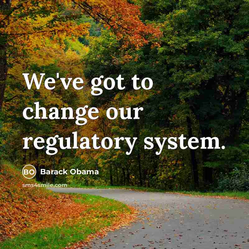 “We've got to change our regulatory system.” quote by Barack Obama