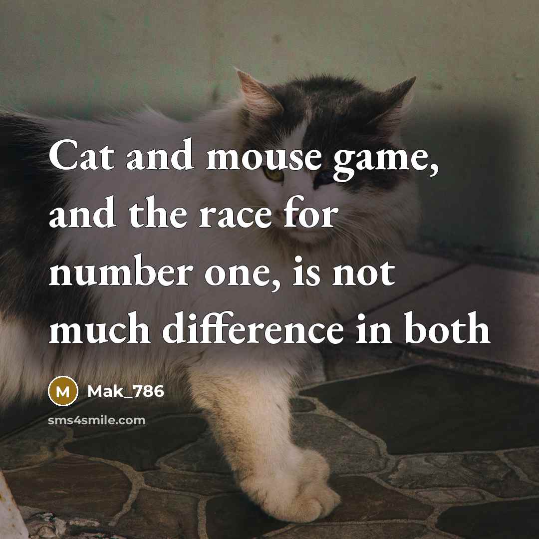 “Cat and mouse game, and the race for number one, is not much difference in both” quote by Mak_786