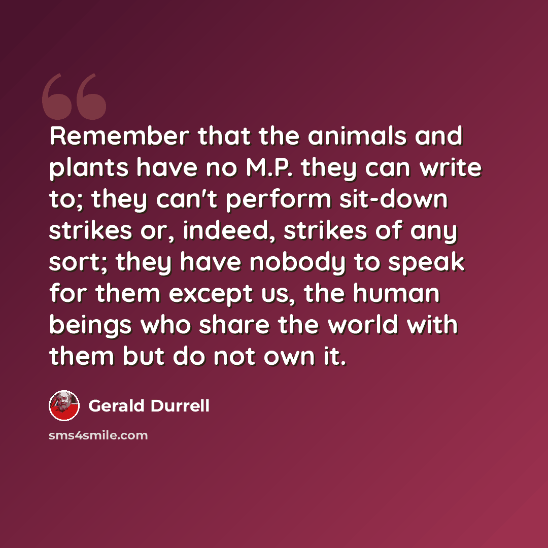 “Remember that the animals and plants have no M.P. they can write to; they can't perform sit-down strikes or, indeed, strikes of any sort; they have nobody to speak for them except us, the human beings who share the world with them but do not own it.” quote by Gerald Durrell