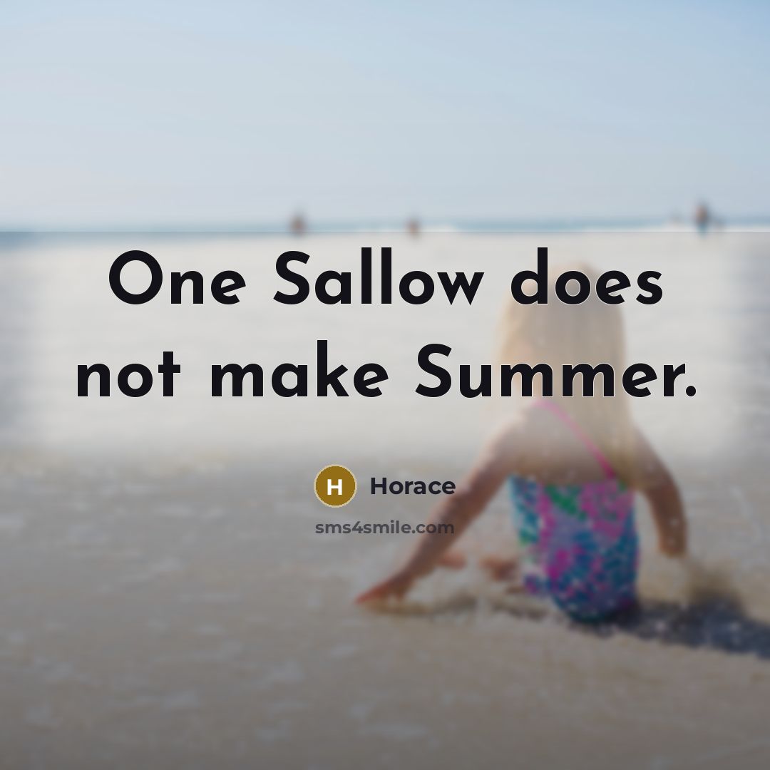 “One Sallow does not make Summer.” quote by Horace