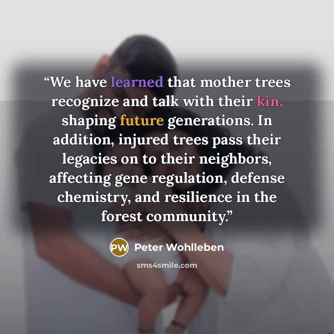 “We have learned that mother trees recognize and talk with their kin, shaping future generations. In addition, injured trees pass their legacies on to their neighbors, affecting gene regulation, defense chemistry, and resilience in the forest community.” quote by Peter Wohlleben
