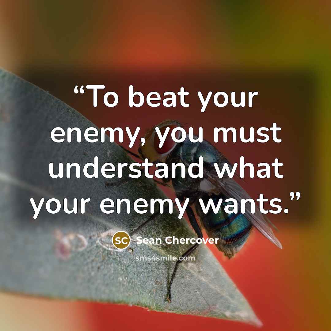“To beat your enemy, you must understand what your enemy wants.” quote by Sean Chercover
