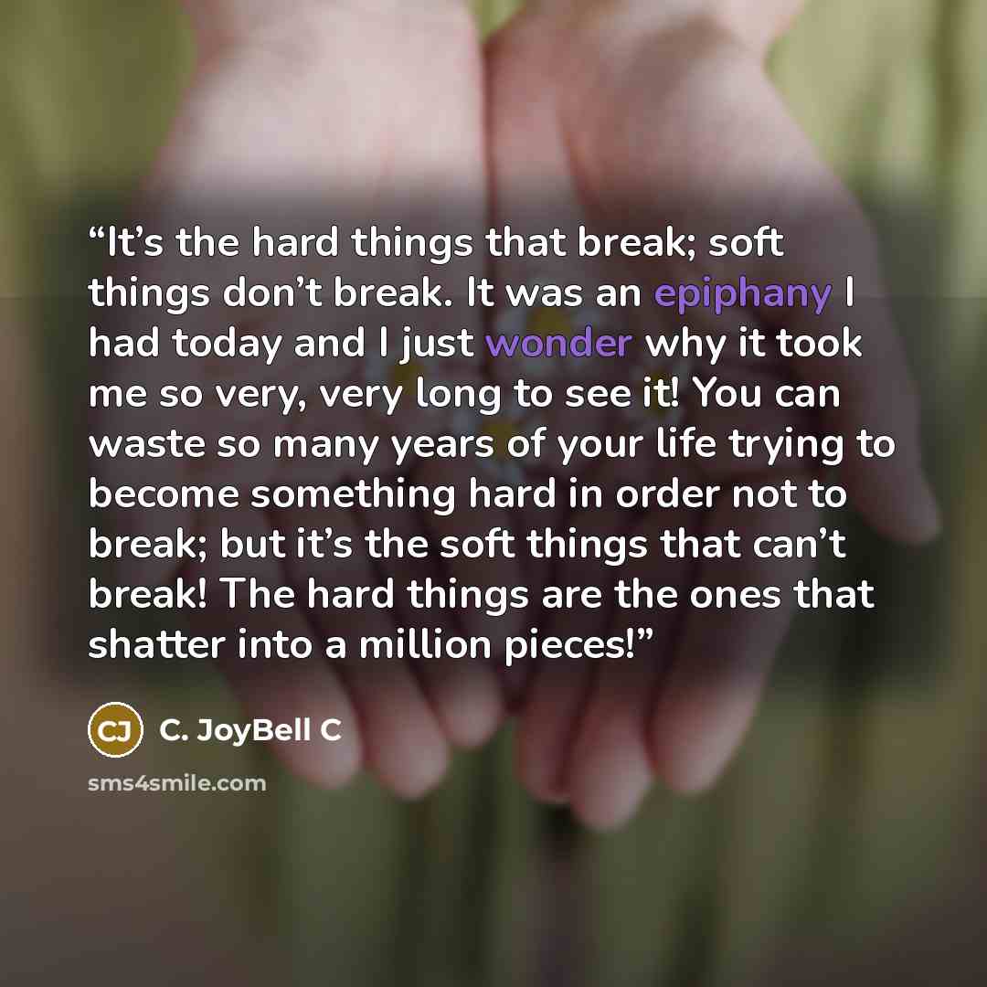 “It’s the hard things that break; soft things don’t break. It was an epiphany I had today and I just wonder why it took me so very, very long to see it! You can waste so many years of your life trying to become something hard in order not to break; but it’s the soft things that can’t break! The…” quote by C. JoyBell C