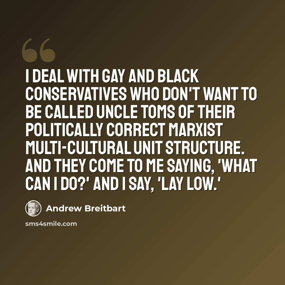 “I deal with gay and black conservatives who don't want to be called Uncle Toms of their politically correct Marxist multi-cultural unit structure. And they come to me saying, 'What can I do?' And I say, 'Lay low.'” quote by Andrew Breitbart