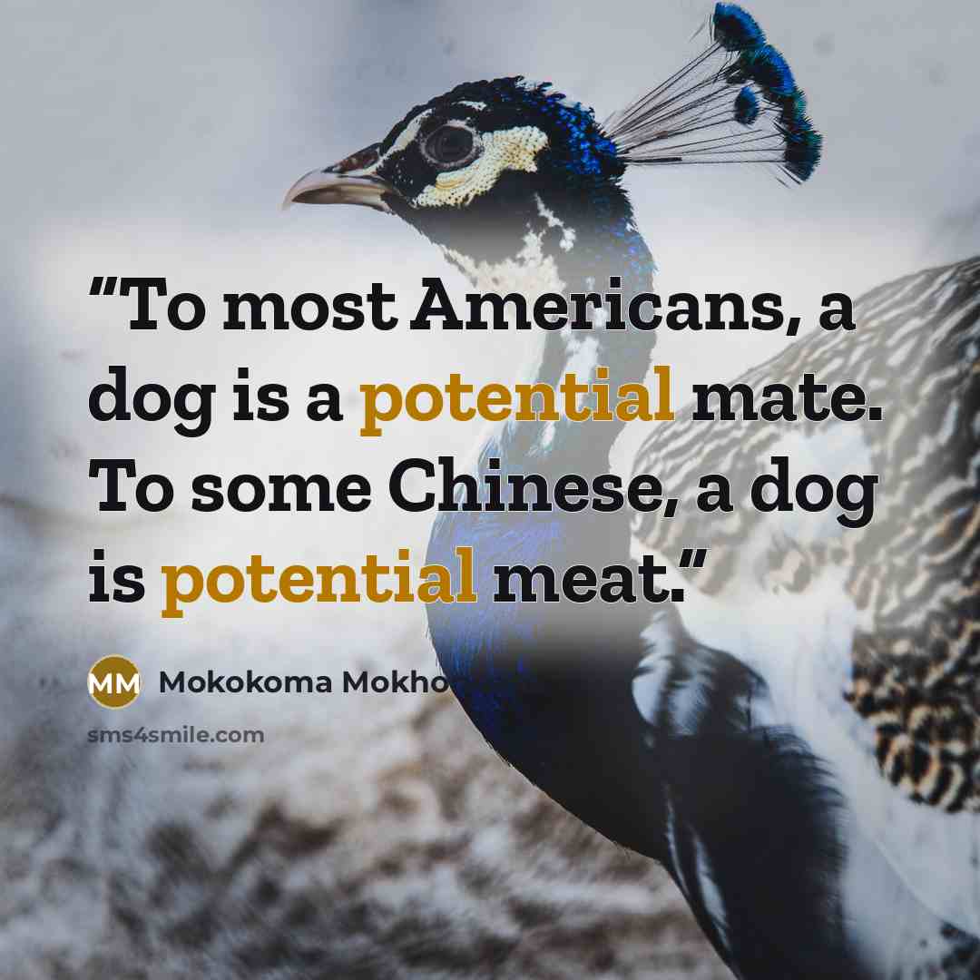 “To most Americans, a dog is a potential mate. To some Chinese, a dog is potential meat.” quote by Mokokoma Mokhonoana