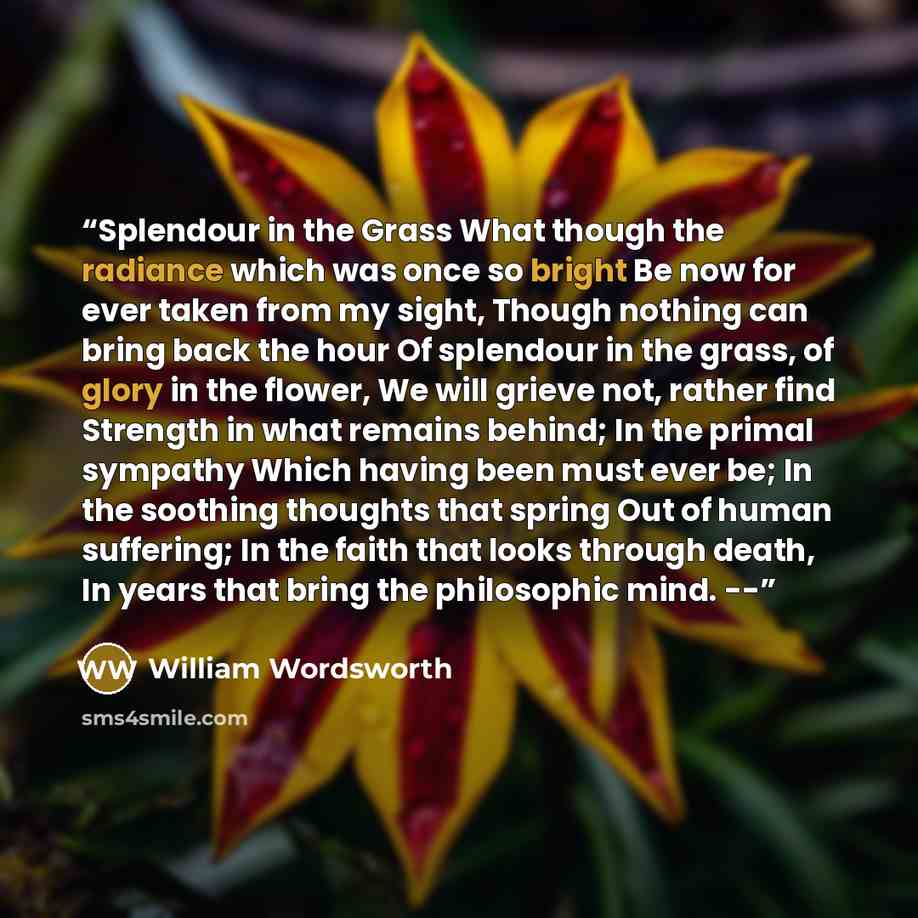 “Splendour in the Grass What though the radiance which was once so bright Be now for ever taken from my sight, Though nothing can bring back the hour Of splendour in the grass, of glory in the flower, We will grieve not, rather find Strength in what remains behind; In the primal sympathy Which…” quote by William Wordsworth
