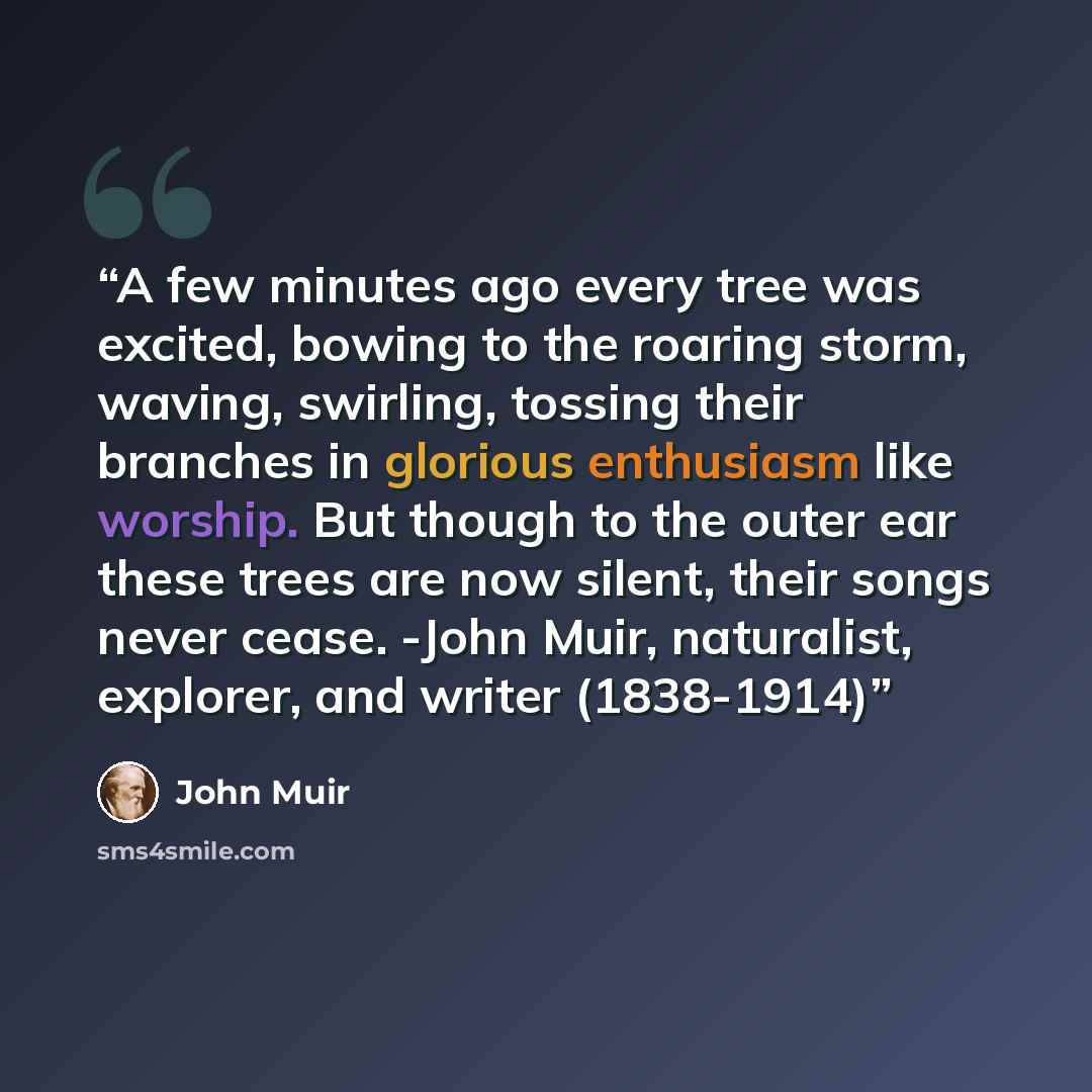 “A few minutes ago every tree was excited, bowing to the roaring storm, waving, swirling, tossing their branches in glorious enthusiasm like worship. But though to the outer ear these trees are now silent, their songs never cease. -John Muir, naturalist, explorer, and writer (1838-1914)” quote by John Muir