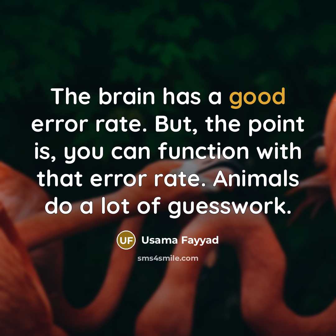 “The brain has a good error rate. But, the point is, you can function with that error rate. Animals do a lot of guesswork.” quote by Usama Fayyad