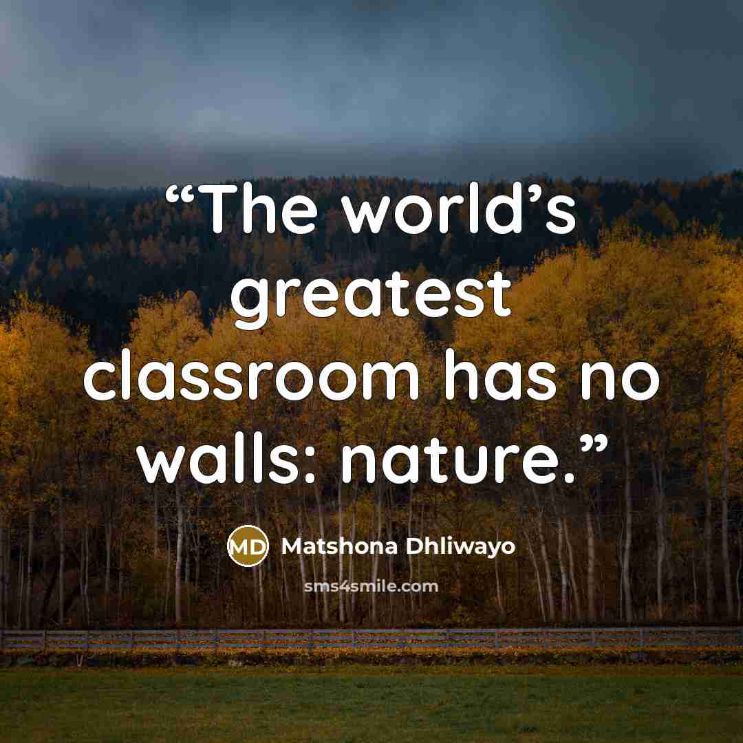 “The world’s greatest classroom has no walls: nature.” quote by Matshona Dhliwayo