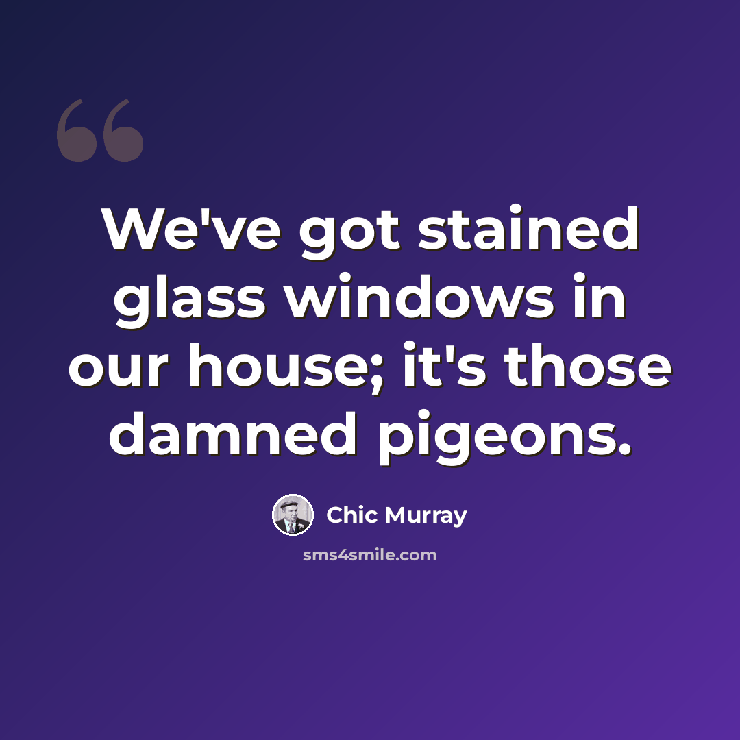 “We've got stained glass windows in our house; it's those damned pigeons.” quote by Chic Murray
