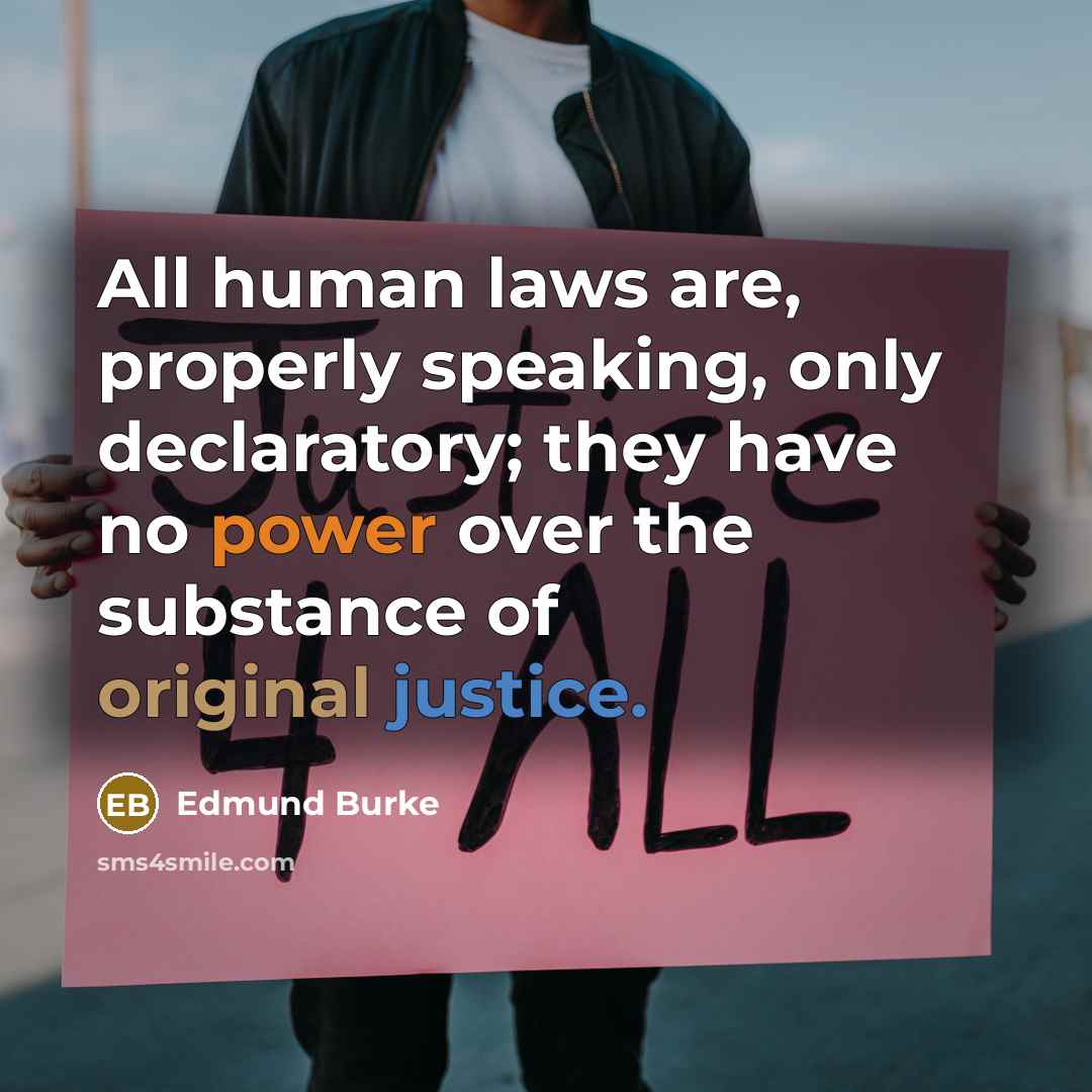 “All human laws are, properly speaking, only declaratory; they have no power over the substance of original justice.” quote by Edmund Burke