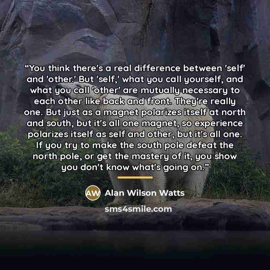 “You think there's a real difference between 'self' and 'other.' But 'self,' what you call yourself, and what you call 'other' are mutually necessary to each other like back and front. They're really one. But just as a magnet polarizes itself at north and south, but it's all one magnet, so…” quote by Alan Wilson Watts