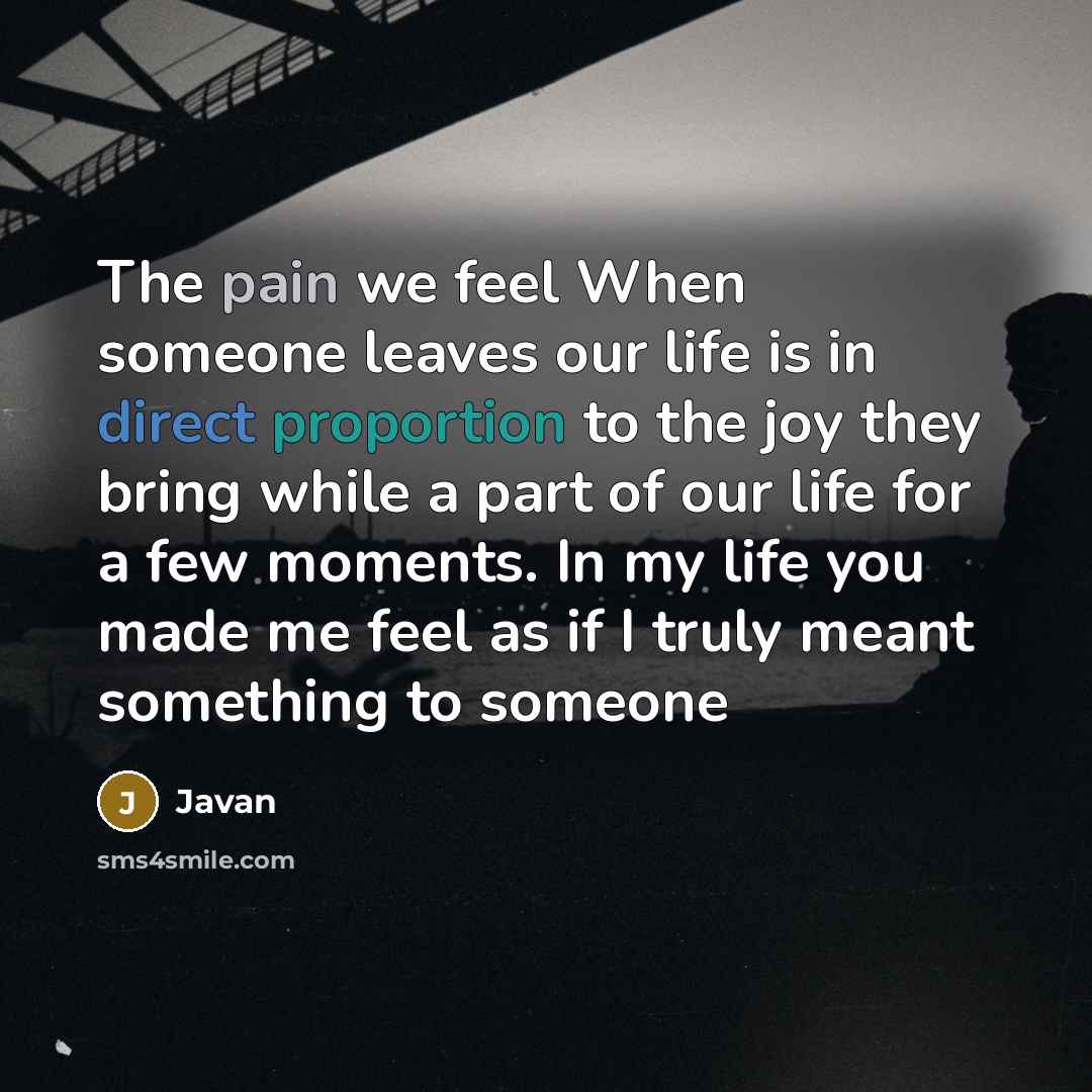 “The pain we feel When someone leaves our life is in direct proportion to the joy they bring while a part of our life for a few moments. In my life you made me feel as if I truly meant something to someone” quote by Javan