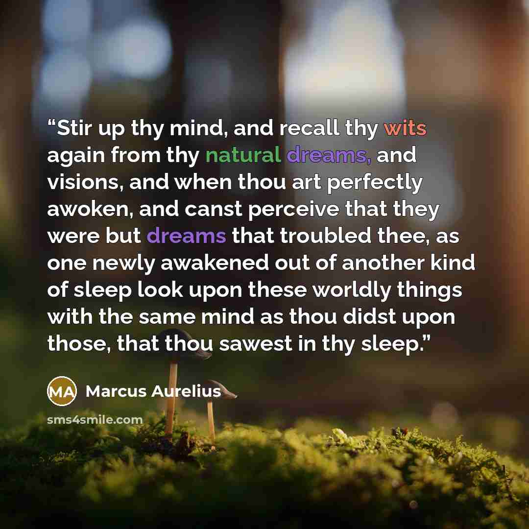 “Stir up thy mind, and recall thy wits again from thy natural dreams, and visions, and when thou art perfectly awoken, and canst perceive that they were but dreams that troubled thee, as one newly awakened out of another kind of sleep look upon these worldly things with the same mind as thou didst…” quote by Marcus Aurelius
